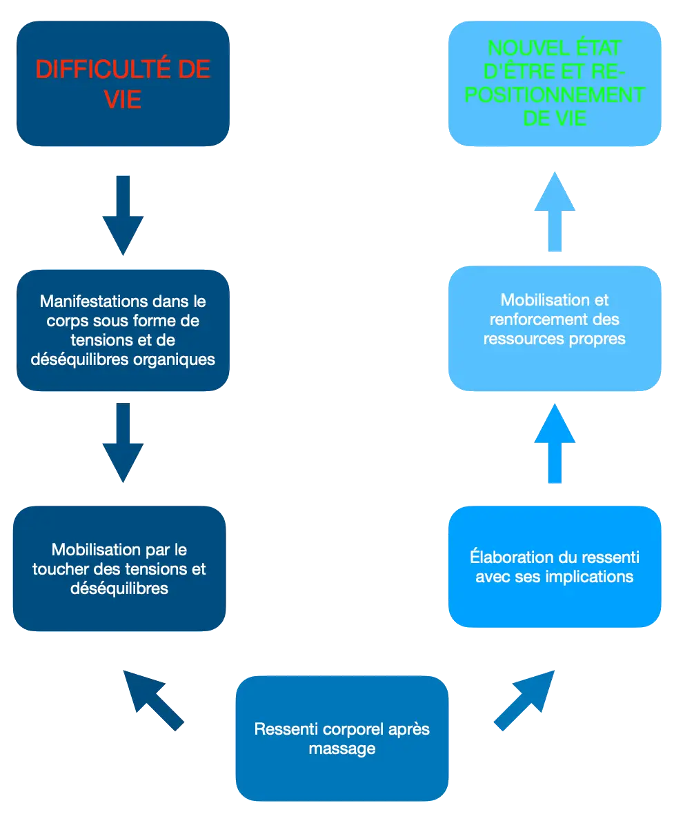 Somatothérapie 2 Processus de La relation d'aide par le toucher®